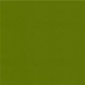 GY22M-T-GAL R-E PAINT SUPPLY Citrus Metallic Honda #2