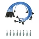 NGK Ignition Kit For Ford