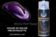 Violette Basecoat PBC40 House of Kolor 12oz Aerosol Can Shimrin Pearl
